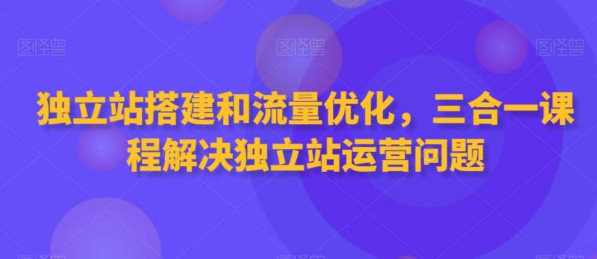 独立站搭建和流量优化，三合一课程解决独立站运营问题-云商网创