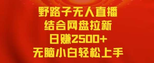 野路子无人直播结合网盘拉新，日赚2500+，小白无脑轻松上手【揭秘】-云商网创