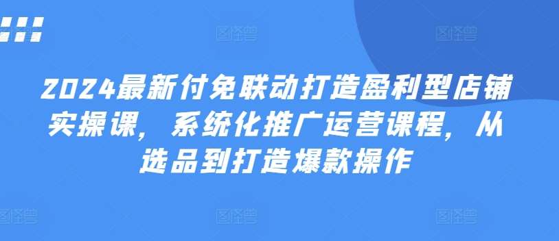 2024最新付免联动打造盈利型店铺实操课，​系统化推广运营课程，从选品到打造爆款操作-云商网创
