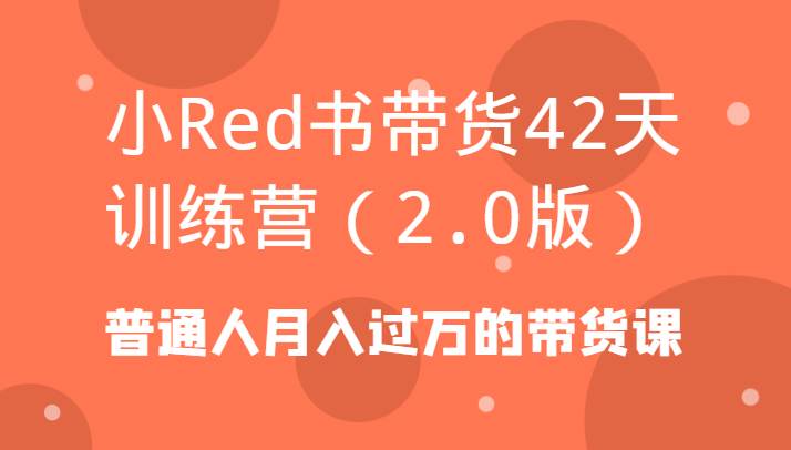 小Red书带货42天训练营（2.0版）普通人月入过万的带货课-云商网创