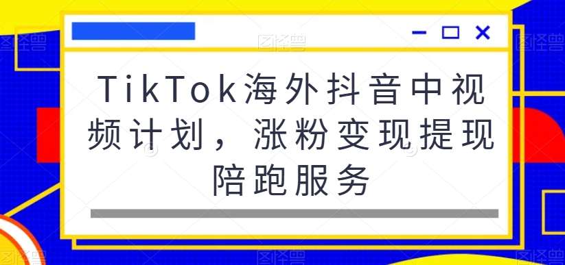 TikTok海外抖音中视频计划，涨粉变现提现陪跑服务-云商网创