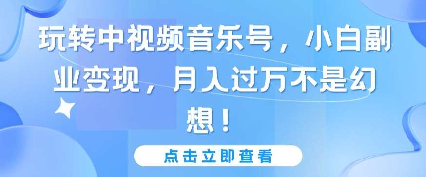 玩转中视频音乐号，小白副业变现，月入过万不是幻想【揭秘】-云商网创