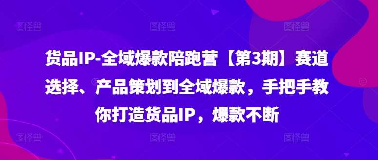 货品IP全域爆款陪跑营【第3期】赛道选择、产品策划到全域爆款，手把手教你打造货品IP，爆款不断-云商网创