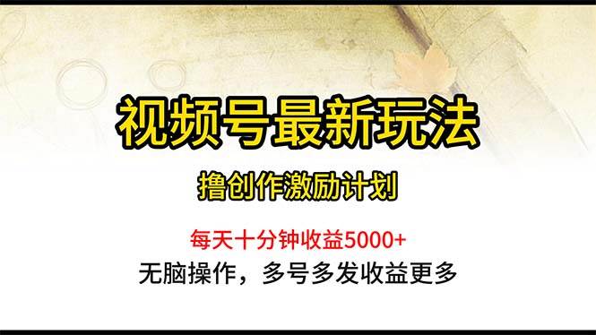 （10591期）视频号最新玩法，每日一小时月入5000+-云商网创