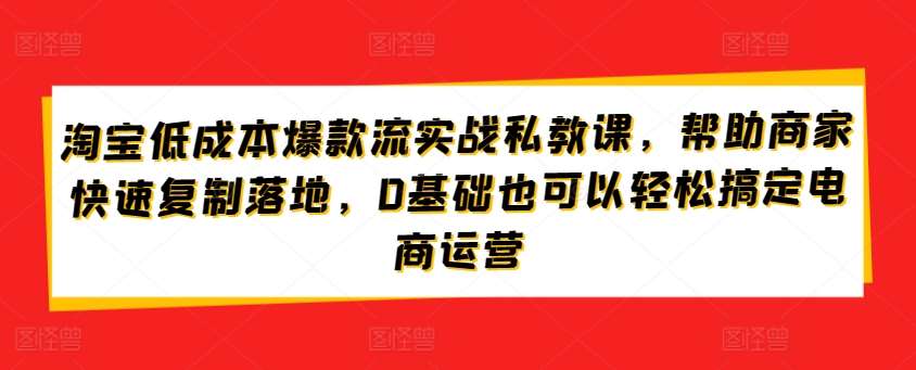 淘宝低成本爆款流实战私教课，帮助商家快速复制落地，0基础也可以轻松搞定电商运营-云商网创