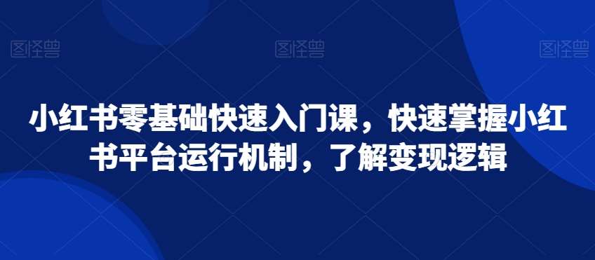 小红书零基础快速入门课，快速掌握小红书平台运行机制，了解变现逻辑-云商网创