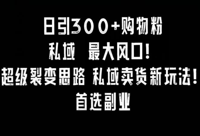 日引300+购物粉，超级裂变思路，私域卖货新玩法，小红书首选副业【揭秘】-云商网创