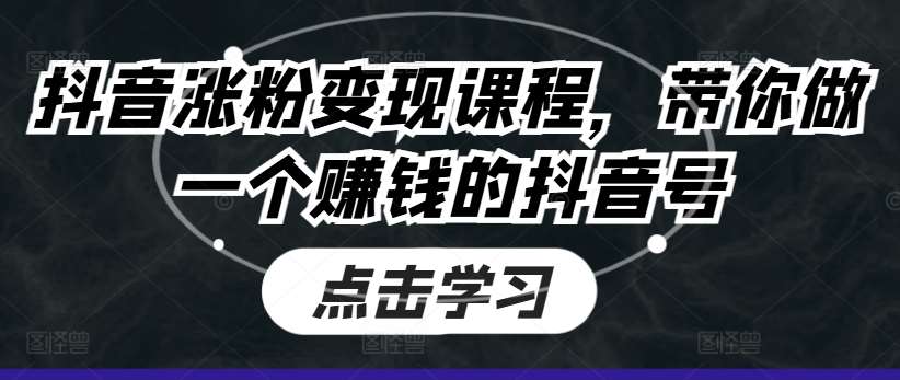 抖音涨粉变现课程，带你做一个赚钱的抖音号-云商网创
