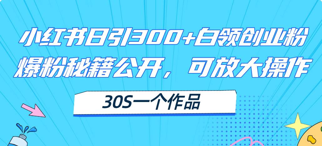 （11692期）小红书日引300+高质白领创业粉，可放大操作，爆粉秘籍！30s一个作品-云商网创