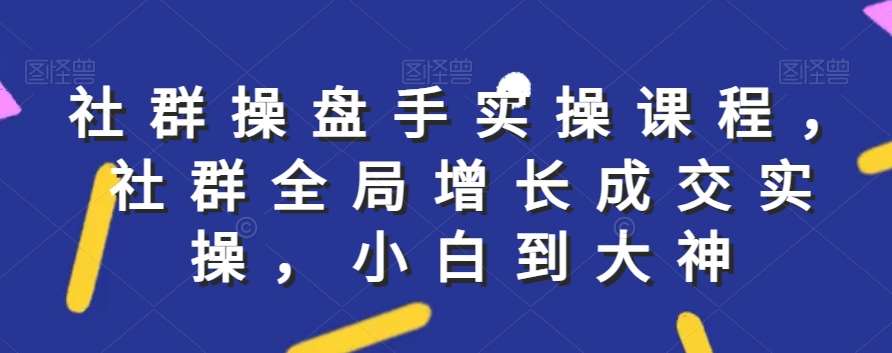 社群实操课程，社群全局增长成交实操，小白到大神-云商网创