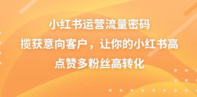 （8764期）小红书运营流量密码，揽获意向客户，让你的小红书高点赞多粉丝高转化-云商网创