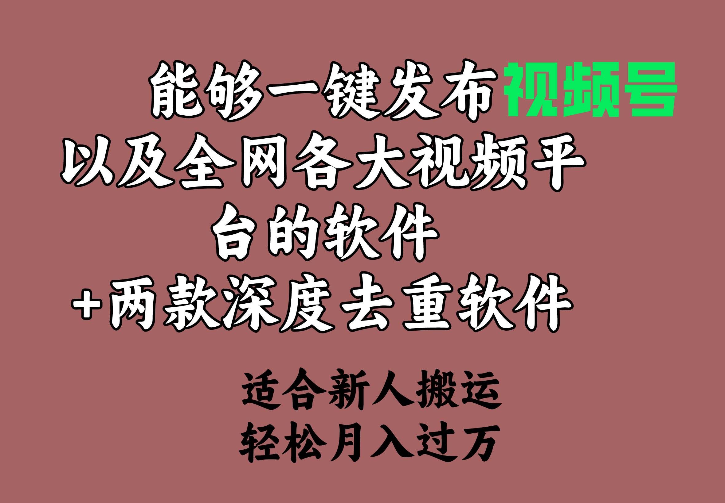 （9319期）能够一键发布视频号以及全网各大视频平台的软件+两款深度去重软件 适合…-云商网创