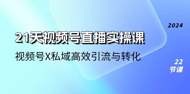 21天视频号直播实操课，视频号X私域高效引流与转化（22节课）-云商网创