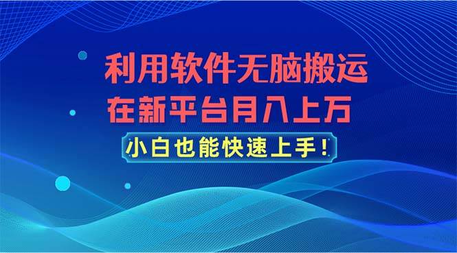利用软件无脑搬运，在新平台月入上万，小白也能快速上手-云商网创
