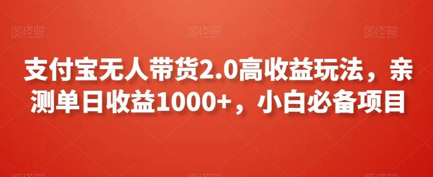 支付宝无人带货2.0高收益玩法，亲测单日收益1000+，小白必备项目【揭秘】-云商网创