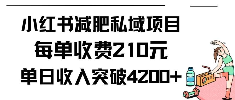 （9466期）小红书减肥私域项目每单收费210元单日成交20单，最高日入4200+-云商网创