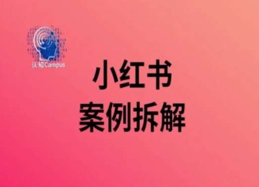 小红书案例拆解，深度解读小红书40万粉-云商网创