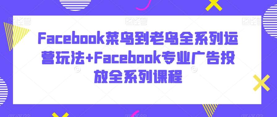 Facebook菜鸟到老鸟全系列运营玩法+Facebook专业广告投放全系列课程-云商网创