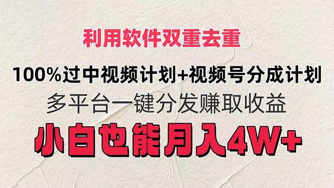 （11862期）利用软件双重去重，100%过中视频+视频号分成计划小白也可以月入4W+-云商网创