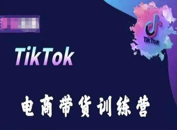 TikTok电商带货训练营，跟随时代潮流，跨境掘金-云商网创