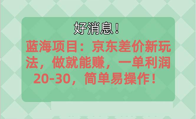 （10989期）越早知道越能赚到钱的蓝海项目：京东大平台操作，一单利润20-30，简单…-云商网创