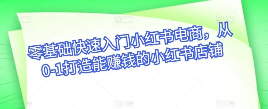 零基础快速入门小红书电商，从0-1打造能赚钱的小红书店铺-云商网创