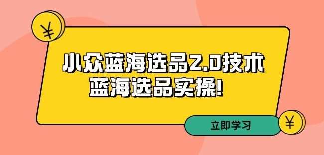 拼多多培训第33期：小众蓝海选品2.0技术-蓝海选品实操！-云商网创