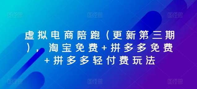 虚拟电商陪跑(更新第三期)，淘宝免费+拼多多免费+拼多多轻付费玩法-云商网创