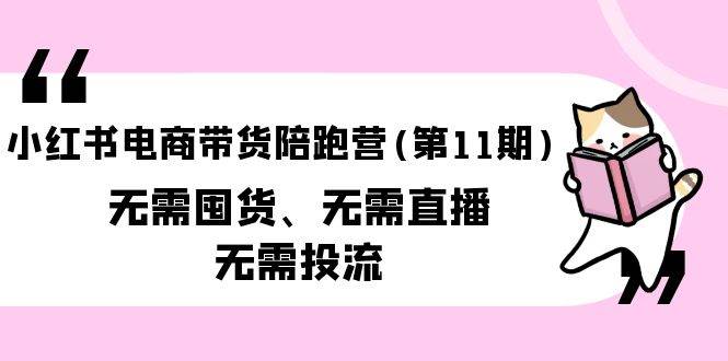 （9996期）小红书电商带货陪跑营(第11期)无需囤货、无需直播、无需投流（送往期10套）-云商网创