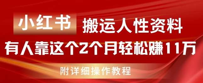 小红书搬运人性资料，有人靠这个2个月轻松赚11w，附教程【揭秘】-云商网创