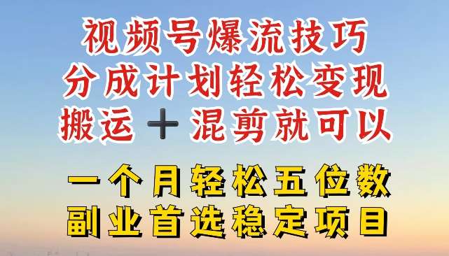 视频号爆流技巧，分成计划轻松变现，搬运 +混剪就可以，一个月轻松五位数稳定项目【揭秘】-云商网创