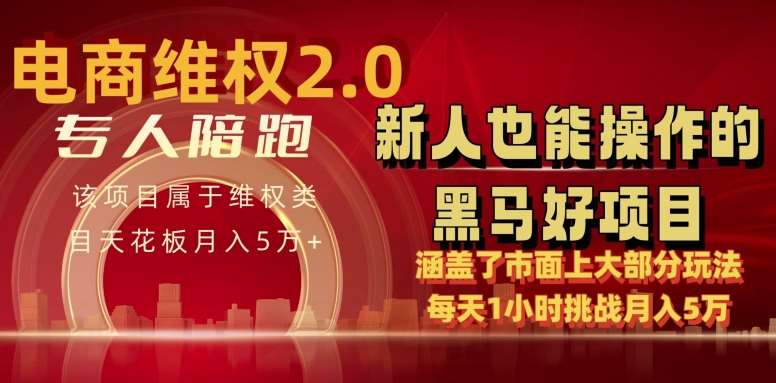 电商维权 4.0 如何做到月入 5 万+每天 1 小时新人也能快速上手【仅揭秘】-云商网创