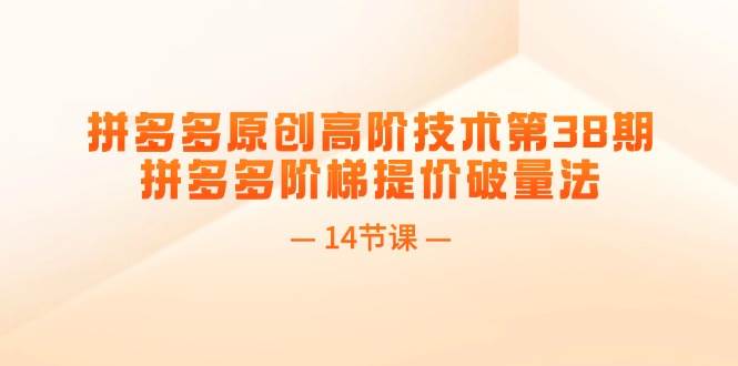 （11704期）拼多多原创高阶技术第38期，拼多多阶梯提价破量法（14节课）-云商网创