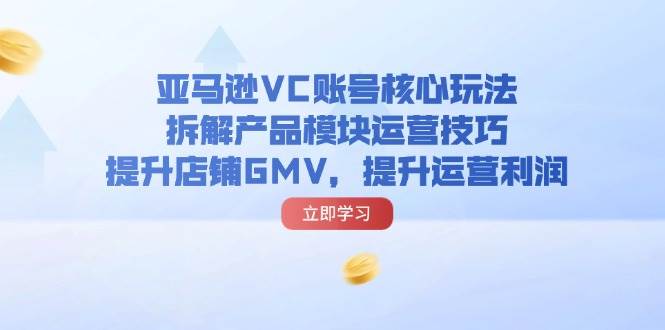 （11848期）亚马逊VC账号核心玩法，拆解产品模块运营技巧，提升店铺GMV，提升运营利润-云商网创