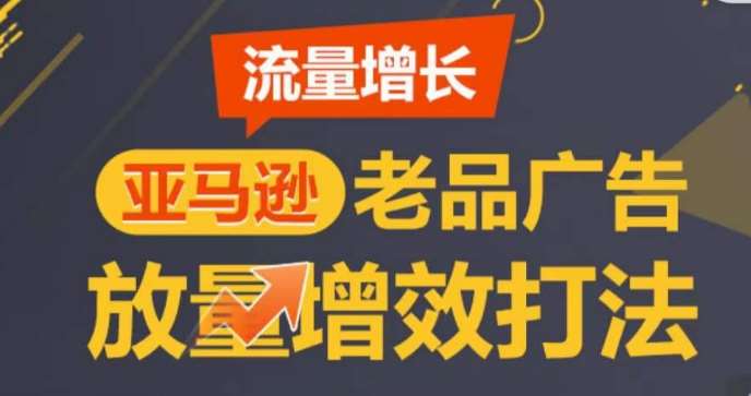 亚马逊流量增长-老品广告放量增效打法，循序渐进，打造更多TOP listing​-云商网创