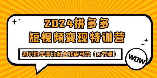 （9817期）2024拼多多短视频变现特训营，知识的丰厚比起金钱更可靠（11节课）-云商网创