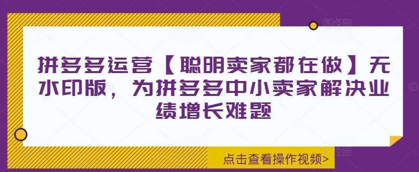 拼多多运营【聪明卖家都在做】无水印版，为拼多多中小卖家解决业绩增长难题-云商网创