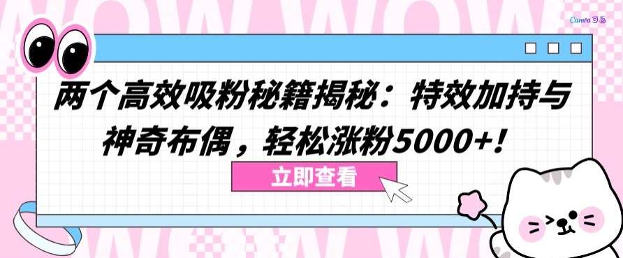 两个高效吸粉秘籍揭秘：特效加持与神奇布偶，轻松涨粉5000+【揭秘】-云商网创