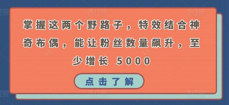 掌握这两个野路子，特效结合神奇布偶，能让粉丝数量飙升，至少增长 5000【揭秘】-云商网创