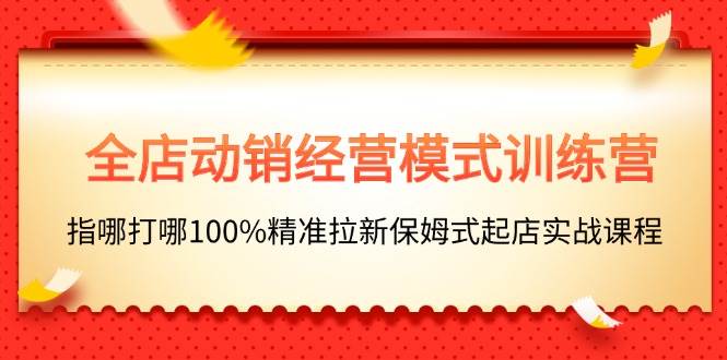 （11460期）全店动销-经营模式训练营，指哪打哪100%精准拉新保姆式起店实战课程-云商网创