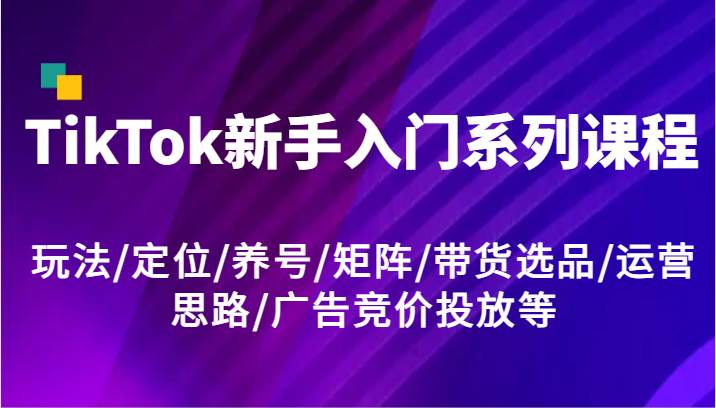 TikTok新手入门系列课程，玩法/定位/养号/矩阵/带货选品/运营思路/广告竞价投放等-云商网创