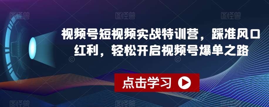 视频号短视频实战特训营，踩准风口红利，轻松开启视频号爆单之路-云商网创