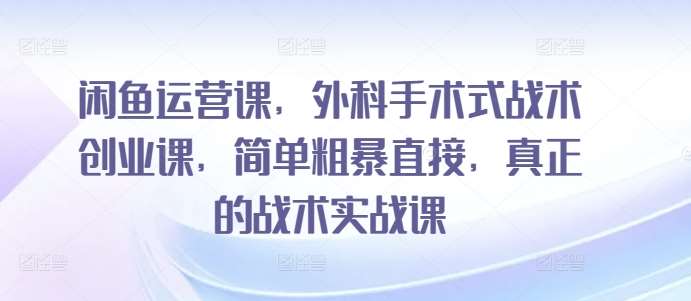 闲鱼运营课，外科手术式战术创业课，简单粗暴直接，真正的战术实战课-云商网创