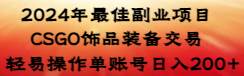 2024年最佳副业项目 CSGO饰品装备交易 轻易操作单账号日入200+-云商网创
