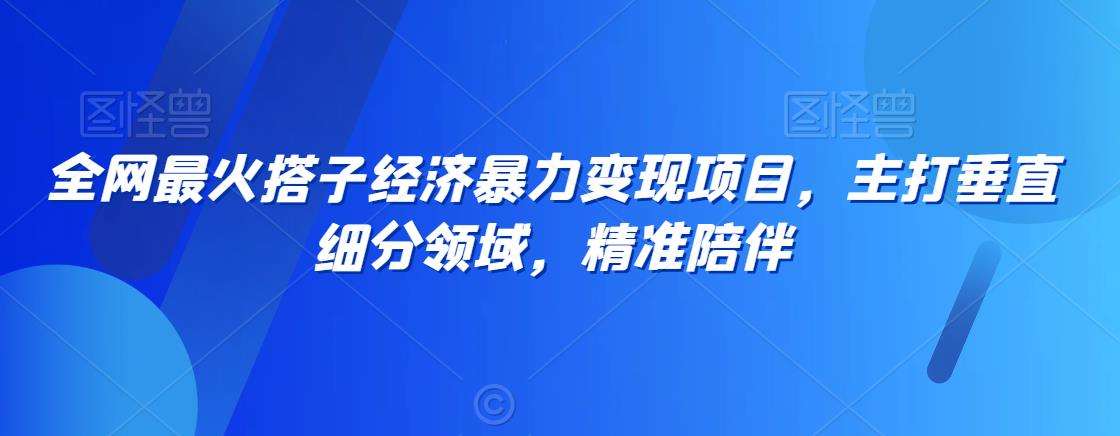 全网最火搭子经济暴力变现项目，主打垂直细分领域，精准陪伴【揭秘】-云商网创