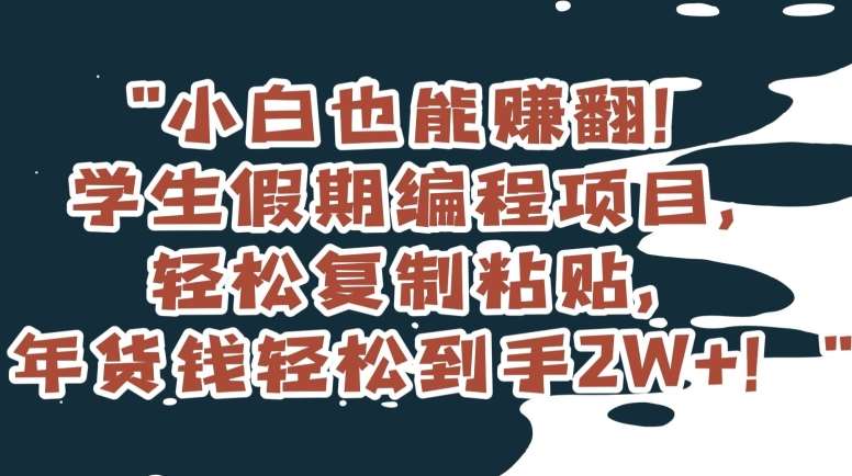 小白也能赚翻！学生假期编程项目，轻松复制粘贴，年货钱轻松到手2W+【揭秘】-云商网创