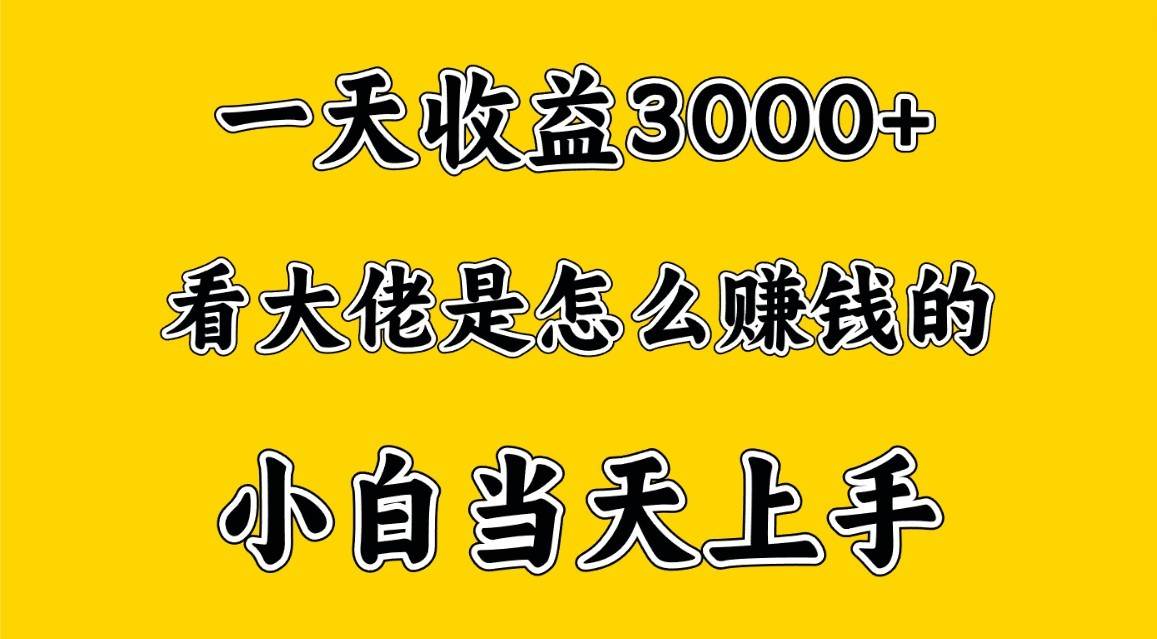 一天赚3000多，大佬是这样赚到钱的，小白当天上手，穷人翻身项目-云商网创