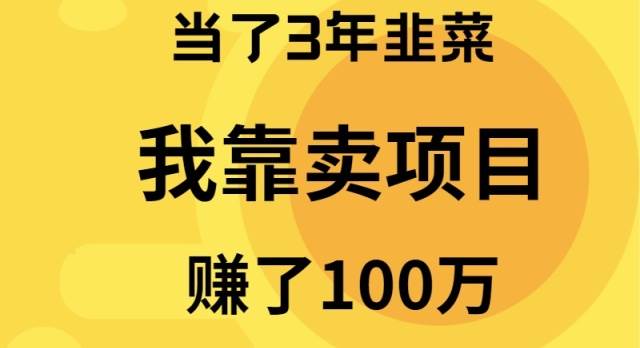 当了3年韭菜，我靠卖项目赚了100万-云商网创