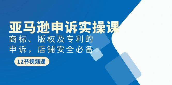 （9754期）亚马逊-申诉实战课，​商标、版权及专利的申诉，店铺安全必备-云商网创