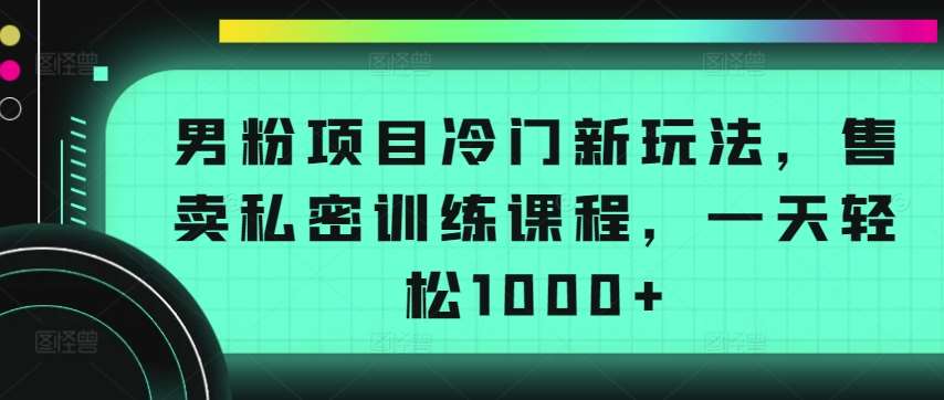 男粉项目冷门新玩法，售卖私密训练课程，一天轻松1000+【揭秘】-云商网创
